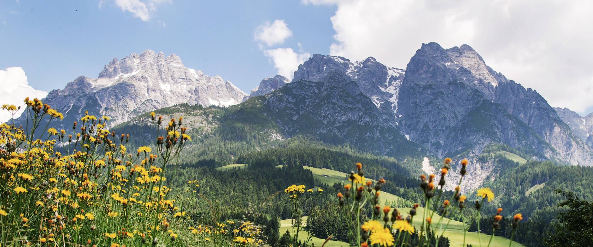 Urlaubsregion Leogang im Pinzgau | Saalfelden-Leogang